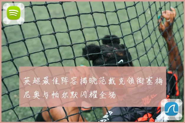 英超最佳阵容揭晓范戴克领衔塞梅尼奥与帕尔默闪耀全场