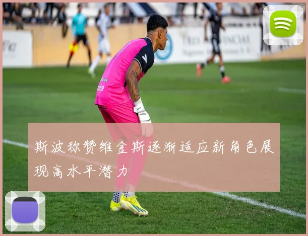斯波称赞维金斯逐渐适应新角色展现高水平潜力